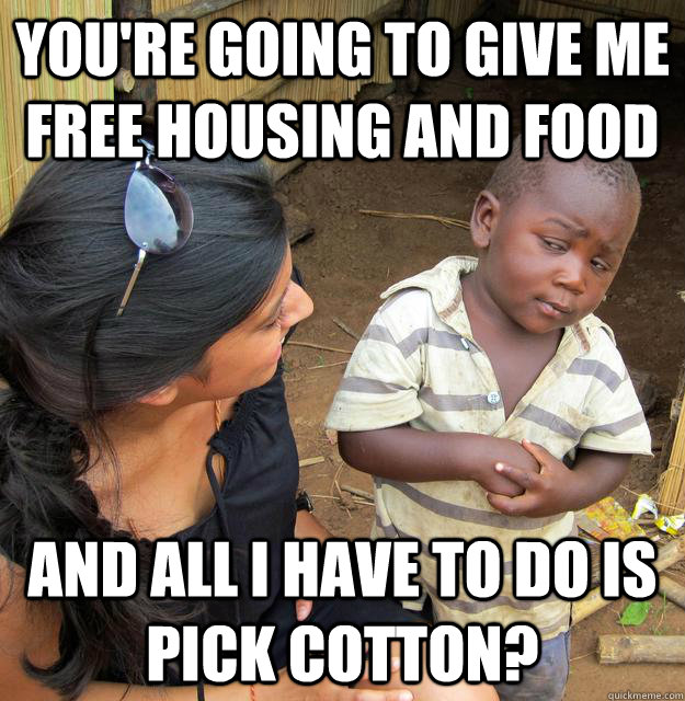 You're going to give me free housing and food and all I have to do is pick cotton?  Skeptical 3rd World Kid