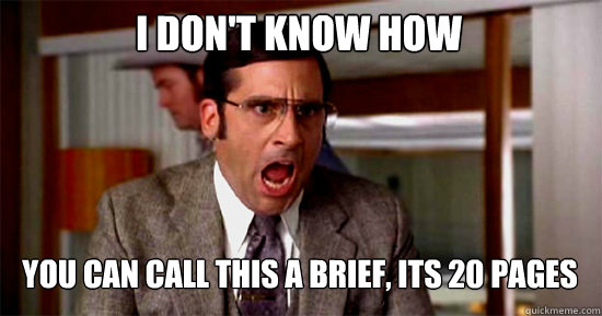 I DON'T KNOW how
 you can call this a brief, its 20 pages  Brick Tamland Rioting
