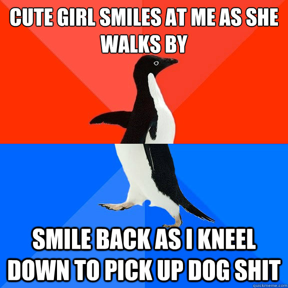 Cute girl smiles at me as she walks by smile back as i kneel down to pick up dog shit  Socially Awesome Awkward Penguin