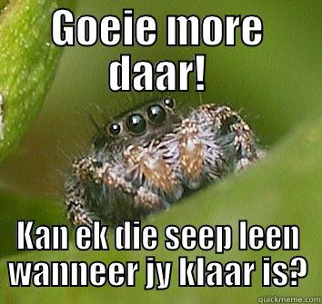 GOEIE MORE DAAR! KAN EK DIE SEEP LEEN WANNEER JY KLAAR IS? Misunderstood Spider