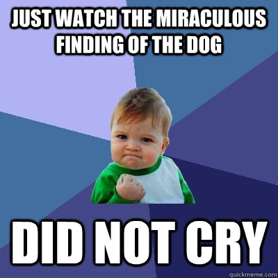 Just watch the miraculous finding of the dog did not cry  Success Kid