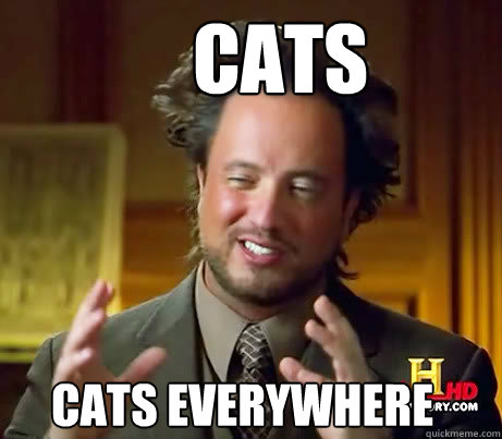 Cats Cats Everywhere  Ancient Alien Guy