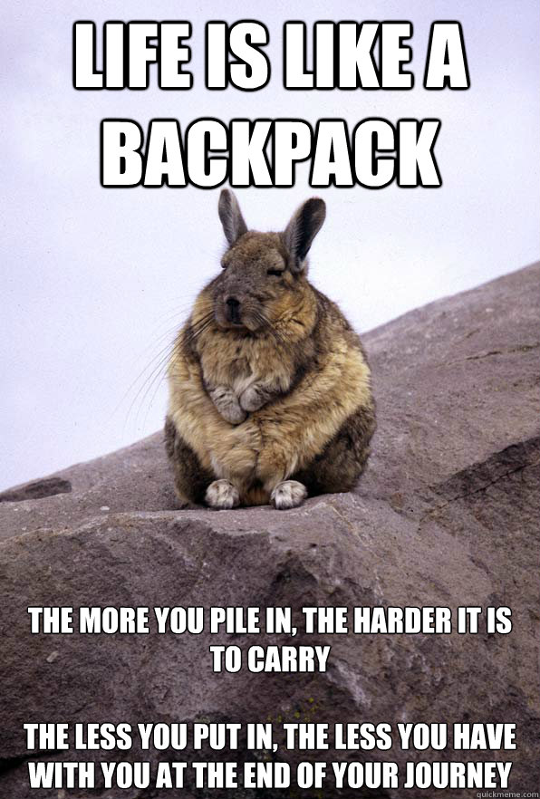 Life is like a backpack the more you pile in, the harder it is to carry

the less you put in, the less you have with you at the end of your journey  Wise Wondering Viscacha