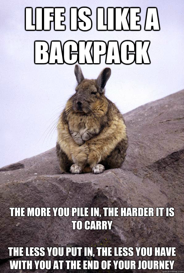 Life is like a backpack the more you pile in, the harder it is to carry

the less you put in, the less you have with you at the end of your journey - Life is like a backpack the more you pile in, the harder it is to carry

the less you put in, the less you have with you at the end of your journey  Wise Wondering Viscacha