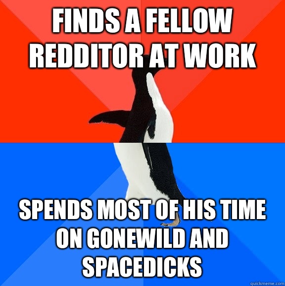 Finds a fellow Redditor at work Spends most of his time on Gonewild and Spacedicks  Socially Awesome Awkward Penguin
