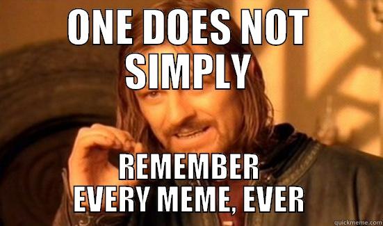 ONE DOES NOT SIMPLY REMEMBER EVERY MEME, EVER Boromir