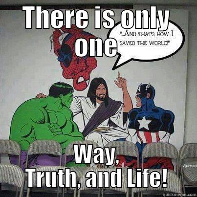 THERE IS ONLY ONE WAY, TRUTH, AND LIFE! First World Problems Cat
