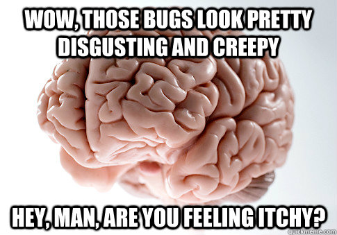 WOW, THOSE BUGS LOOK PRETTY DISGUSTING AND CREEPY HEY, MAN, ARE YOU FEELING ITCHY?  Scumbag Brain