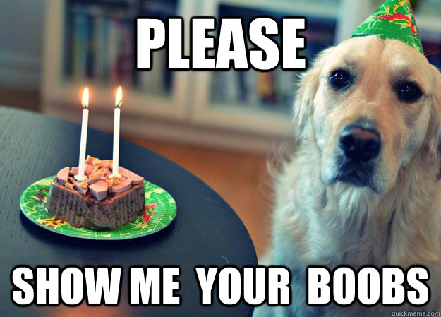 Please Show me  your  boobs  Sad Birthday Dog