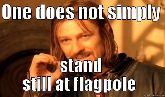 ONE DOES NOT SIMPLY  STAND STILL AT FLAGPOLE  Boromir
