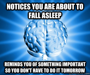 Notices you are about to fall asleep Reminds you of something important so you don't have to do it tomorrow  Good Guy Brain