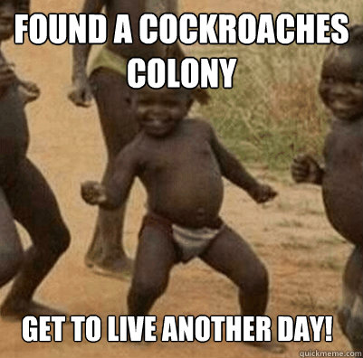 Found a cockroaches colony Get to live another day!  Third World Success Kid