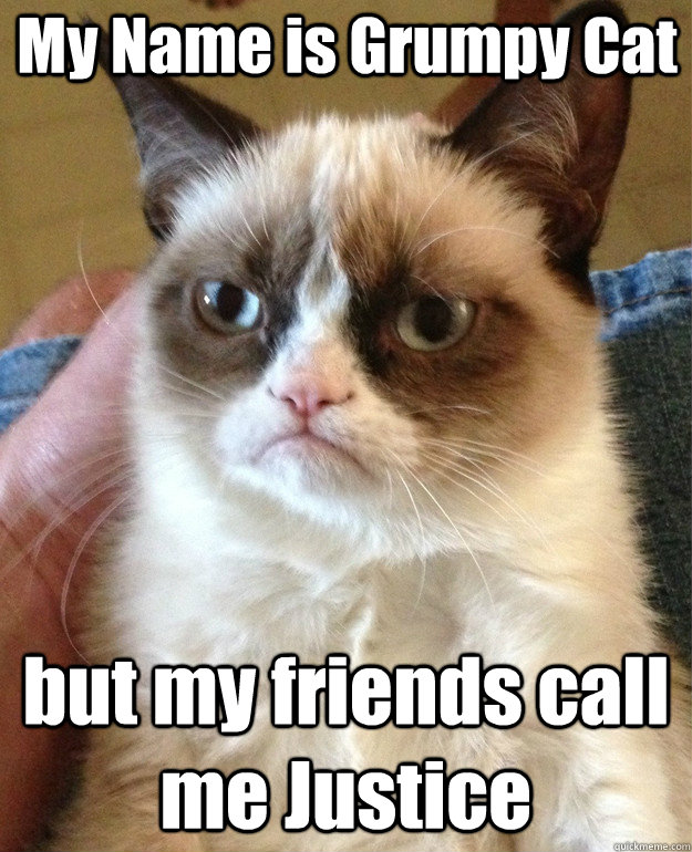My Name is Grumpy Cat but my friends call me Justice  Grumpy Cat