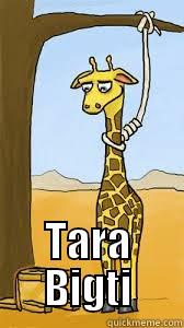  TARA BIGTI Misc