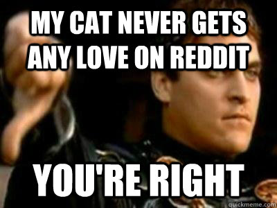 my cat never gets any love on reddit you're right  Downvoting Roman