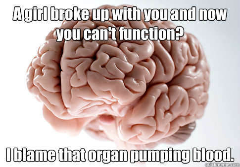 A girl broke up with you and now you can't function? I blame that organ pumping blood.  - A girl broke up with you and now you can't function? I blame that organ pumping blood.   Scumbag Brain