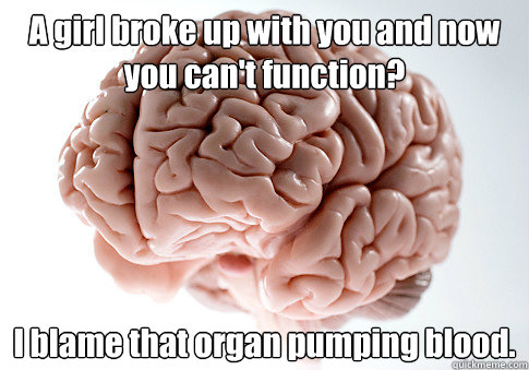 A girl broke up with you and now you can't function? I blame that organ pumping blood.   Scumbag Brain