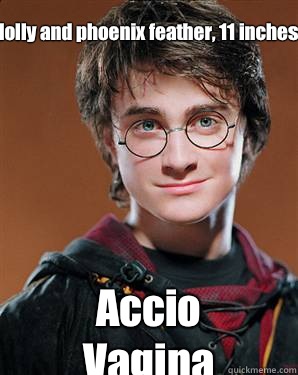 Holly and phoenix feather, 11 inches Accio Vagina  Harry potter