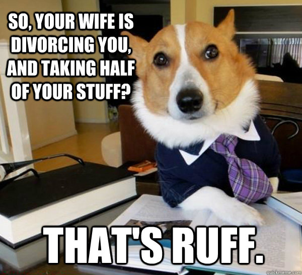 So, your wife is divorcing you, and taking half of your stuff? That's ruff. - So, your wife is divorcing you, and taking half of your stuff? That's ruff.  Lawyer Dog
