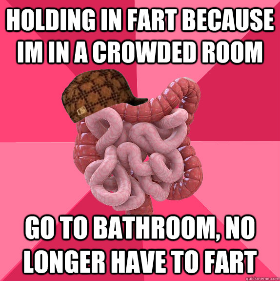 holding in fart because im in a crowded room go to bathroom, no longer have to fart - holding in fart because im in a crowded room go to bathroom, no longer have to fart  Scumbag Intestines