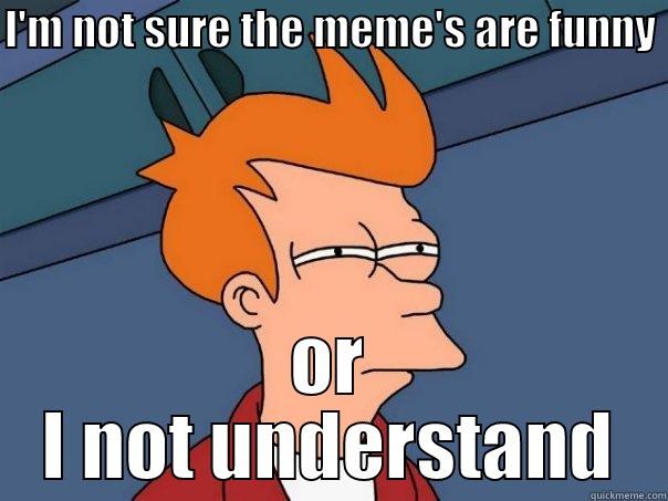 I'M NOT SURE THE MEME'S ARE FUNNY  OR I NOT UNDERSTAND Futurama Fry