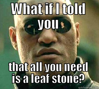 WHAT IF I TOLD YOU THAT ALL YOU NEED IS A LEAF STONE? Matrix Morpheus