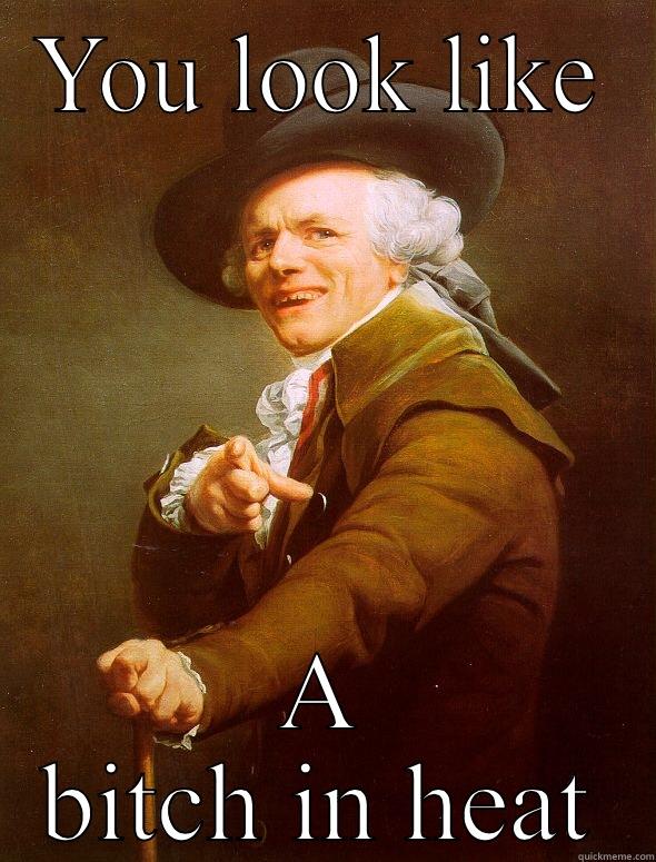 YOU LOOK LIKE A BITCH IN HEAT Joseph Ducreux