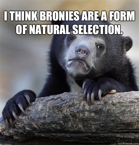 I think Bronies are a form of natural selection.   Confession Bear