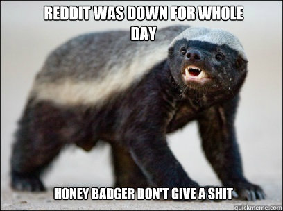 Reddit was down for whole day Honey badger don't give a shit  Honey Badger