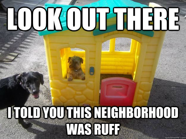 Look out there I told you this neighborhood was ruff  Upper Class White Dog