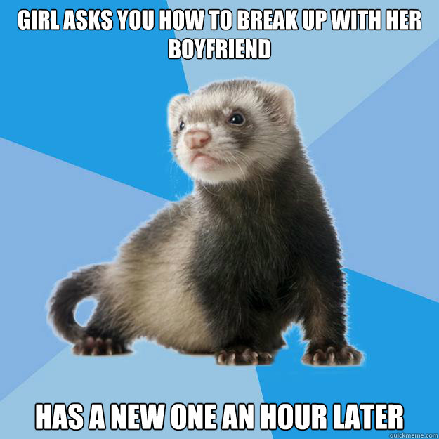 Girl asks you how to break up with her boyfriend Has a new one an hour later - Girl asks you how to break up with her boyfriend Has a new one an hour later  Friend Zone Ferret