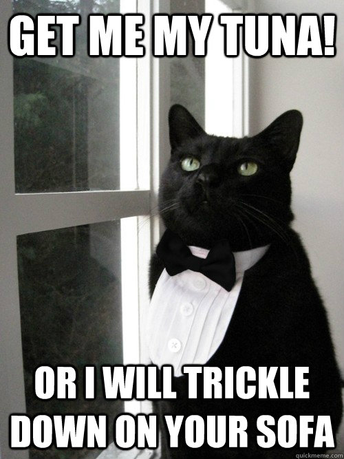 get me my tuna! or i will trickle down on your sofa  One Percent Cat