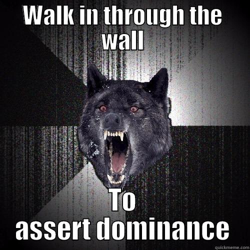 WALK IN THROUGH THE WALL TO ASSERT DOMINANCE Insanity Wolf