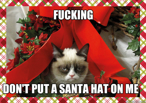 Fucking don't put a santa hat on me  merry christmas