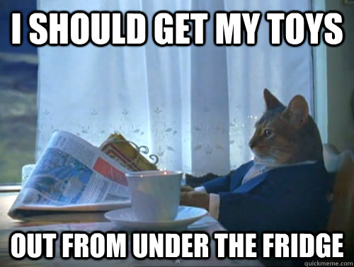 I should get my toys out from under the fridge  The One Percent Cat
