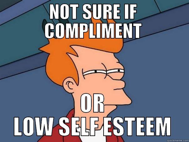 NOT SURE IF COMPLIMENT OR LOW SELF ESTEEM Futurama Fry