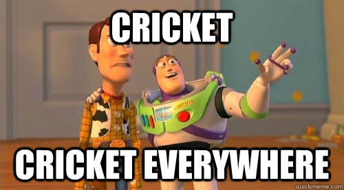 Cricket Cricket everywhere  Buzz Kill