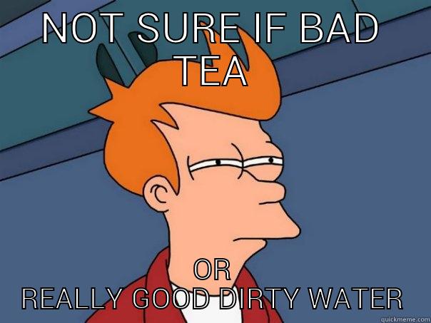 NOT SURE IF BAD TEA OR REALLY GOOD DIRTY WATER Futurama Fry
