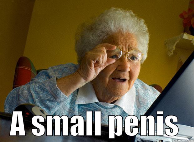  A SMALL PENIS Grandma finds the Internet