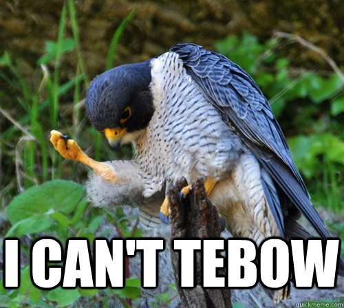 I can't Tebow  - I can't Tebow   Success Falcon