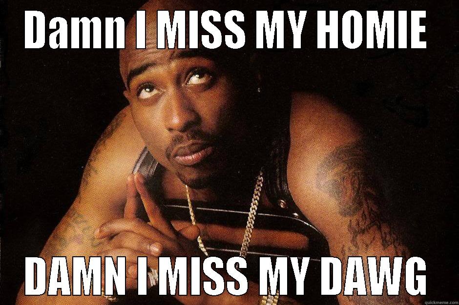 DAMN I MISS MY HOMIE DAMN I MISS MY DAWG Misc