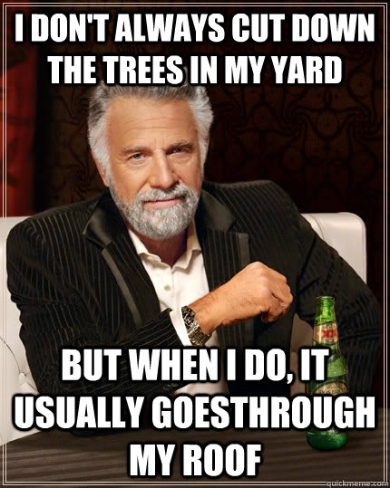 I don't always cut down the trees in my yard but when i do, it usually goesthrough my roof  The Most Interesting Man In The World