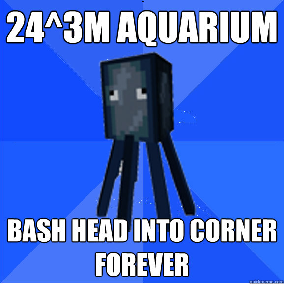 24^3m aquarium Bash head into corner forever  Socially Awkward Squid