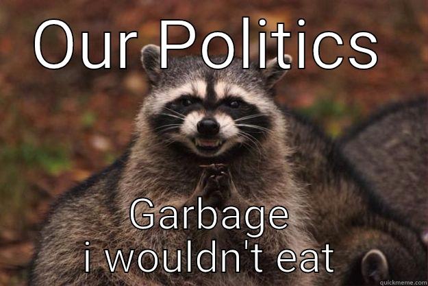 OUR POLITICS GARBAGE I WOULDN'T EAT Evil Plotting Raccoon