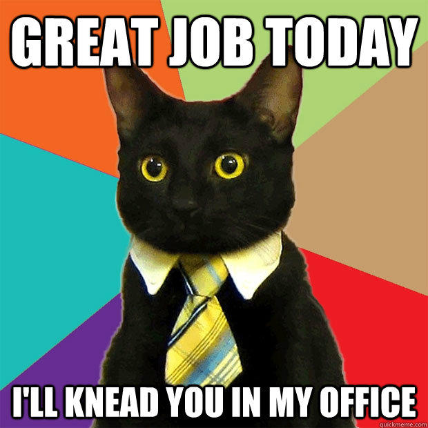 Great job today I'll knead you in my office  Business Cat