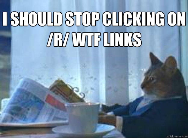 I should stop clicking on /r/ WTF links   boat cat