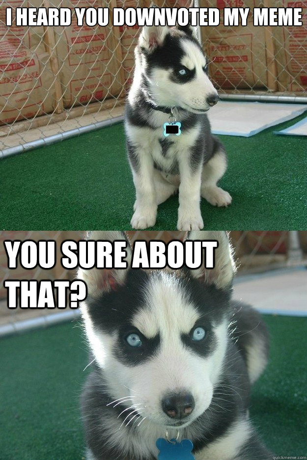 i heard you downvoted my meme you sure about that?  Insanity puppy