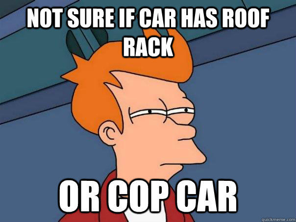 Not sure if car has roof rack Or cop car  Futurama Fry