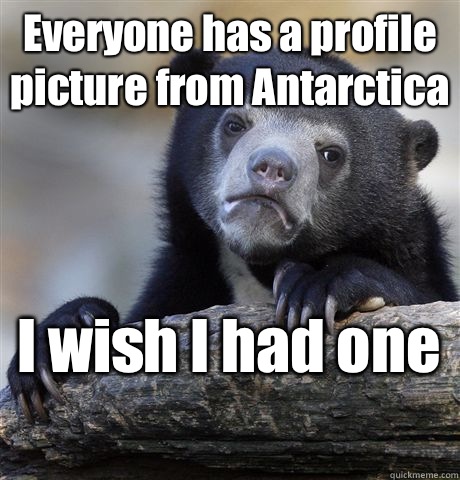 Everyone has a profile picture from Antarctica I wish I had one   Confession Bear