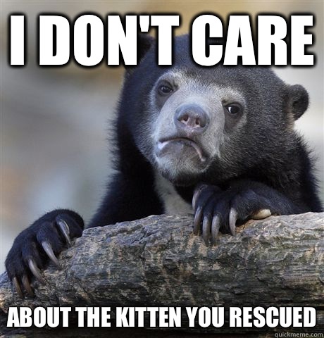 I don't care About the kitten you rescued  Confession Bear